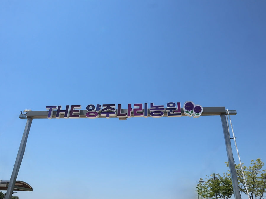 양주의-꽃동산-나리농원-01