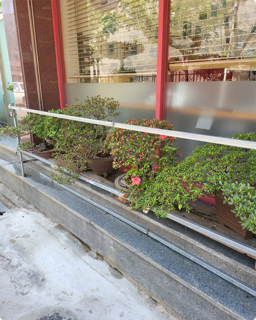 공방 옆에 이렇게 분재를 가져다 놓으시고