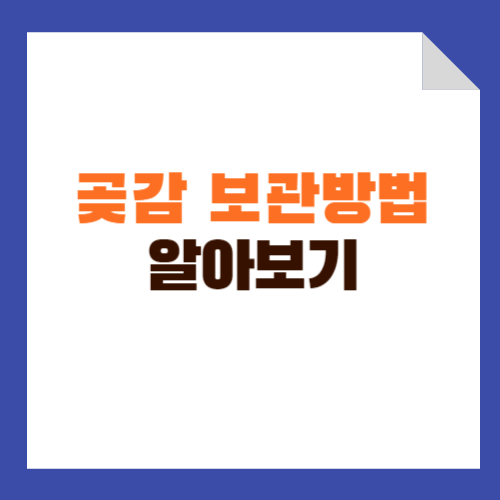 곶감 보관방법, 곰팡이 알아보기