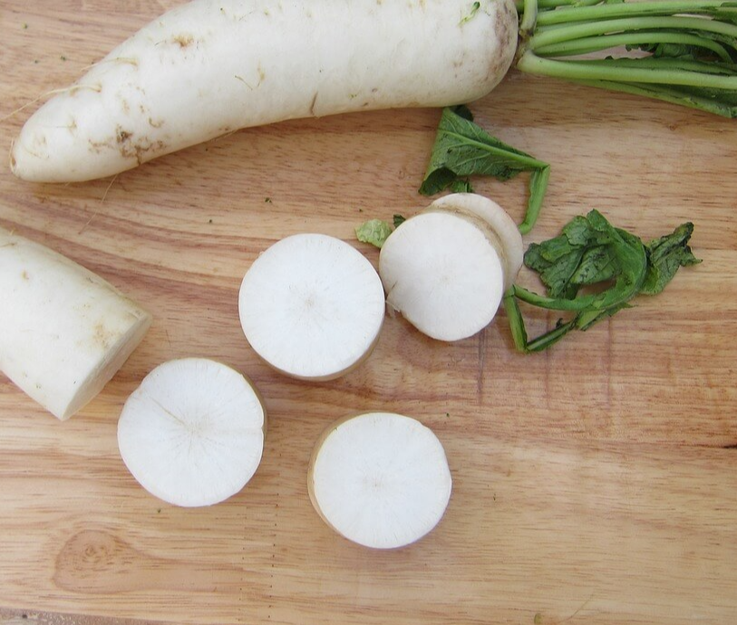 무 와 썰린 단면