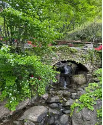 화담숲 초행자를 위한 완벽 가이드