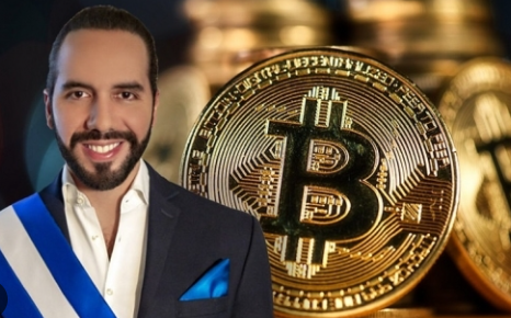 엘살바도르 대통령