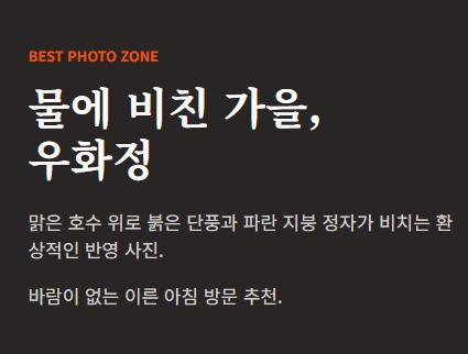 내장산 단풍축제 기간