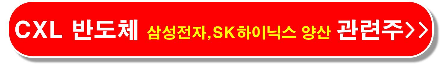 CXL 브로드컴 관련주 6