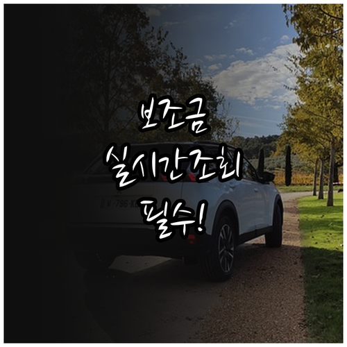 지자체 전기차 보조금 실시간 조회 방..