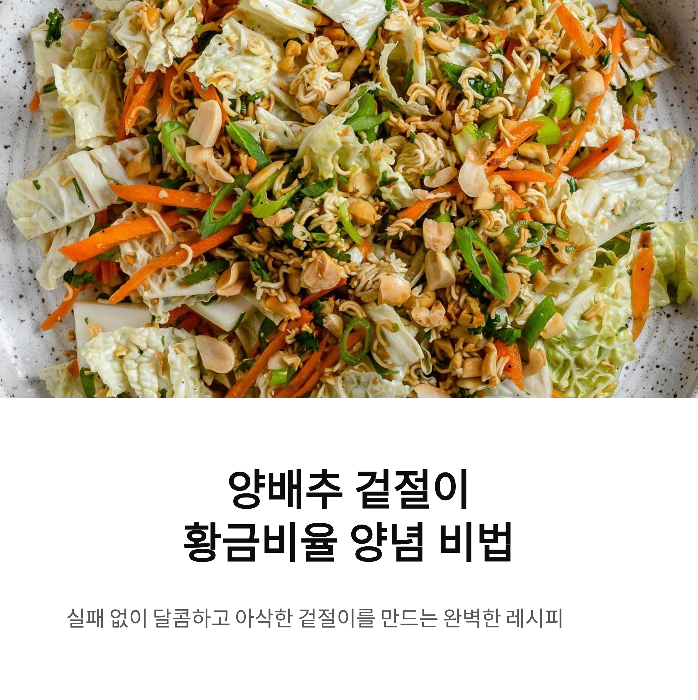 양배추 겉절이 맛을 살리는 실패 없는 황금비율 양념 비법