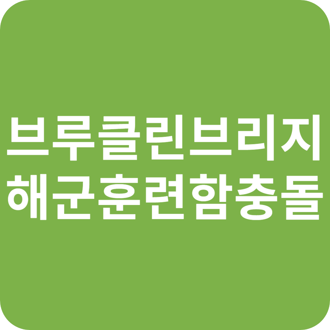 브루클린 브리지 : 멕시코 해군 훈련함 충돌