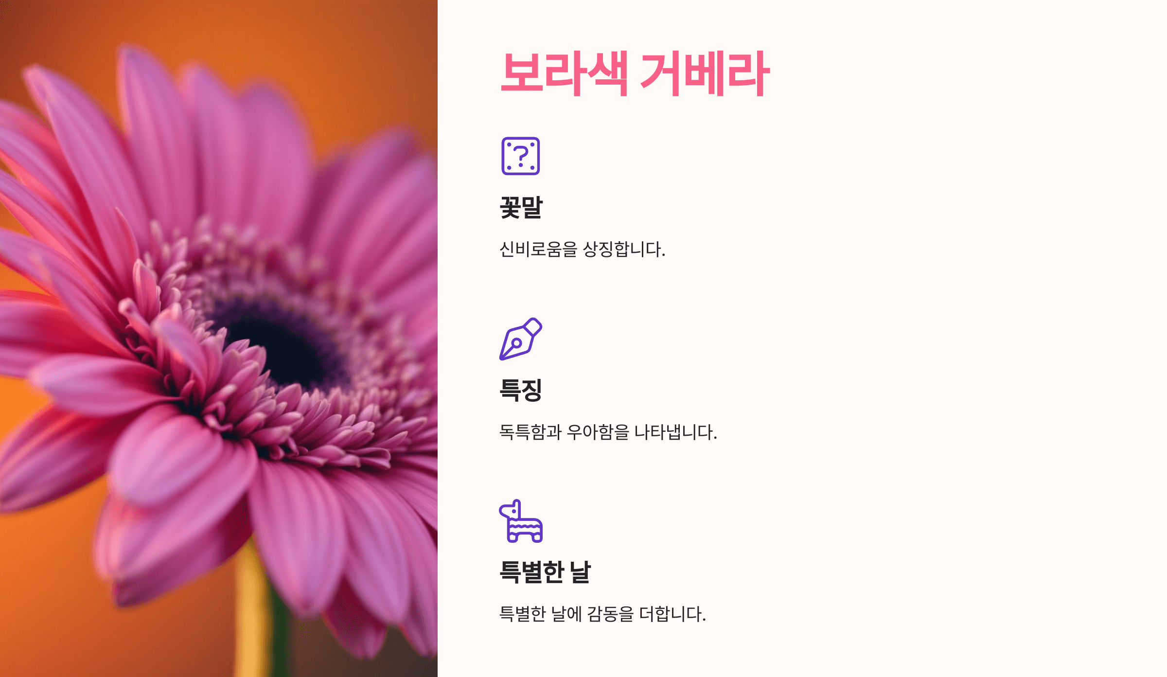 거베라 사진입니다.