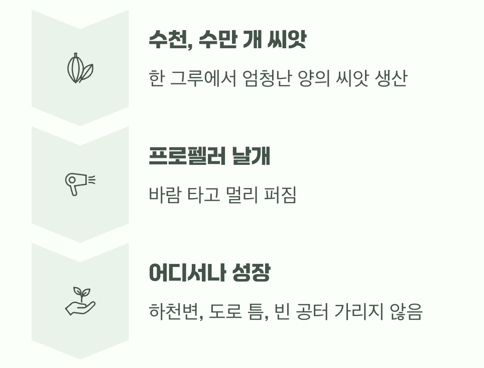 무서운 번식력, 씨앗의 공습