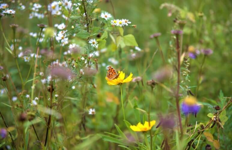 숲나들e 가리산 자연휴양림 국내여행지추천 관련사진
