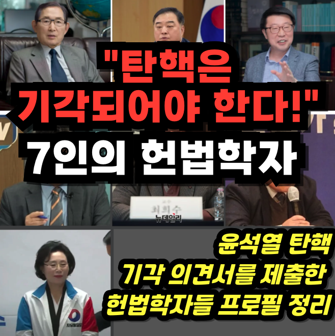 윤석열 탄핵 기각 의견서를 제출한 7인의 헌법학자 얼굴과 프로필