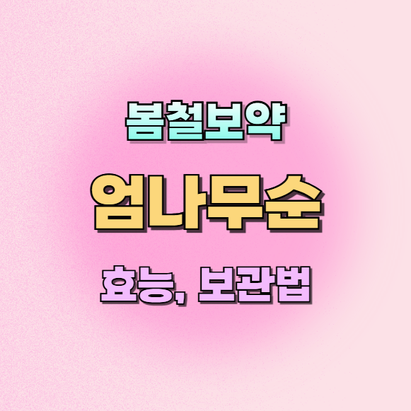 엄나무순효능