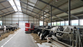 한파 대비 축종별 가축 관리법: 겨울철 가축 건강을 지키는 방법