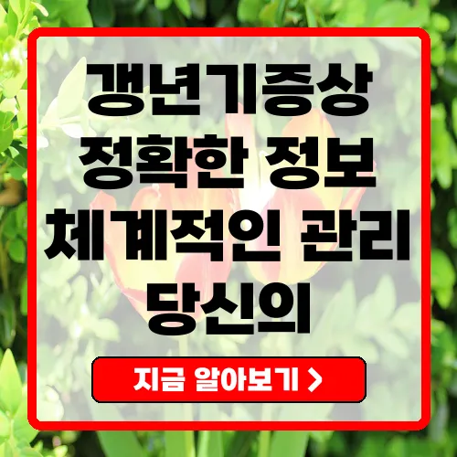 갱년기증상의 정의와 효과적인 관리 방법