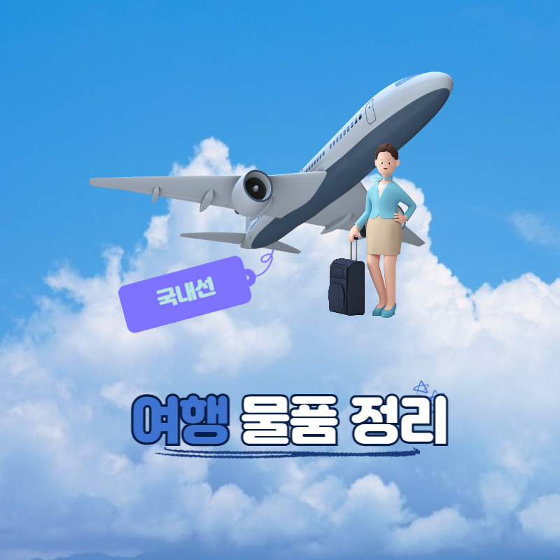 국내선 항공 여행 준비물
