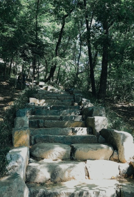 봉은사