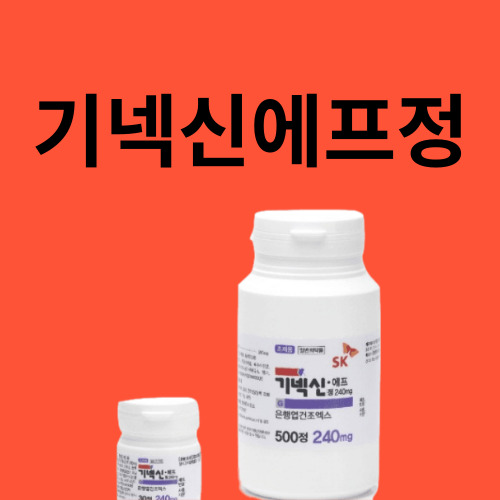 기넥신에프정