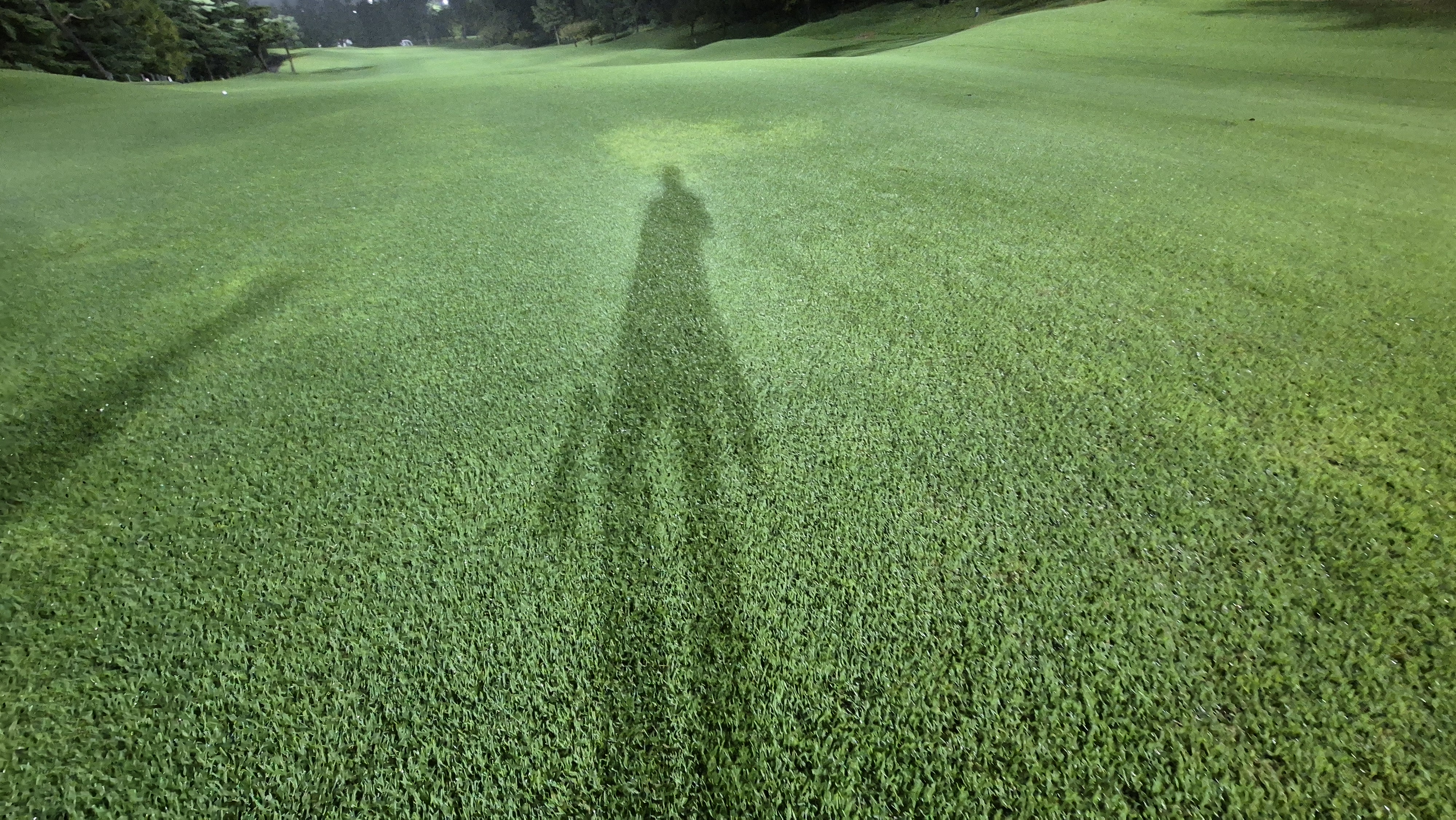 블루원용인cc 코스 관리 상태