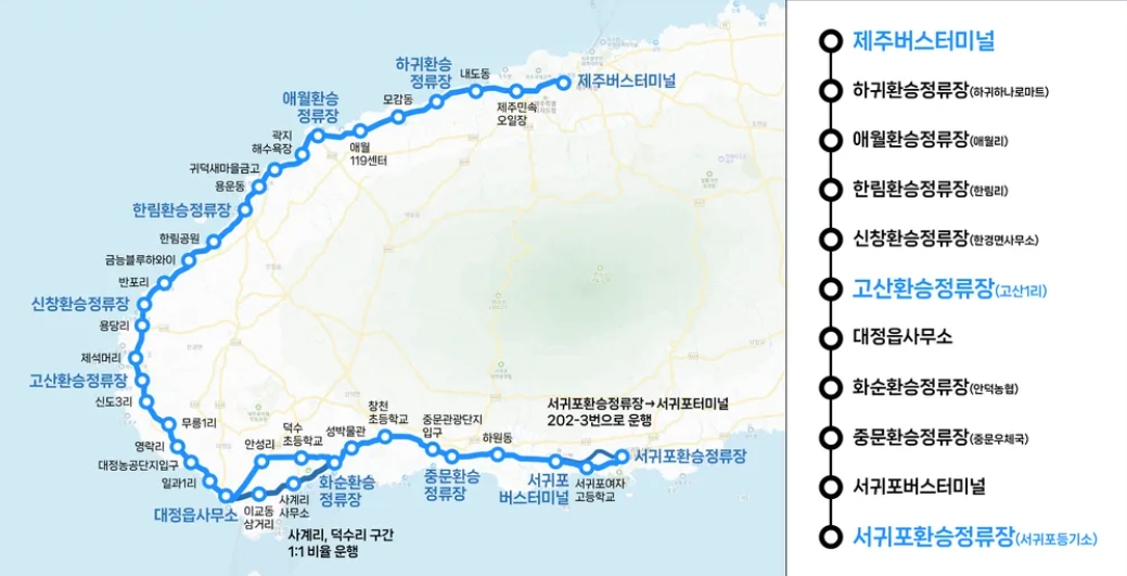 제주 202번 버스 주요 노선