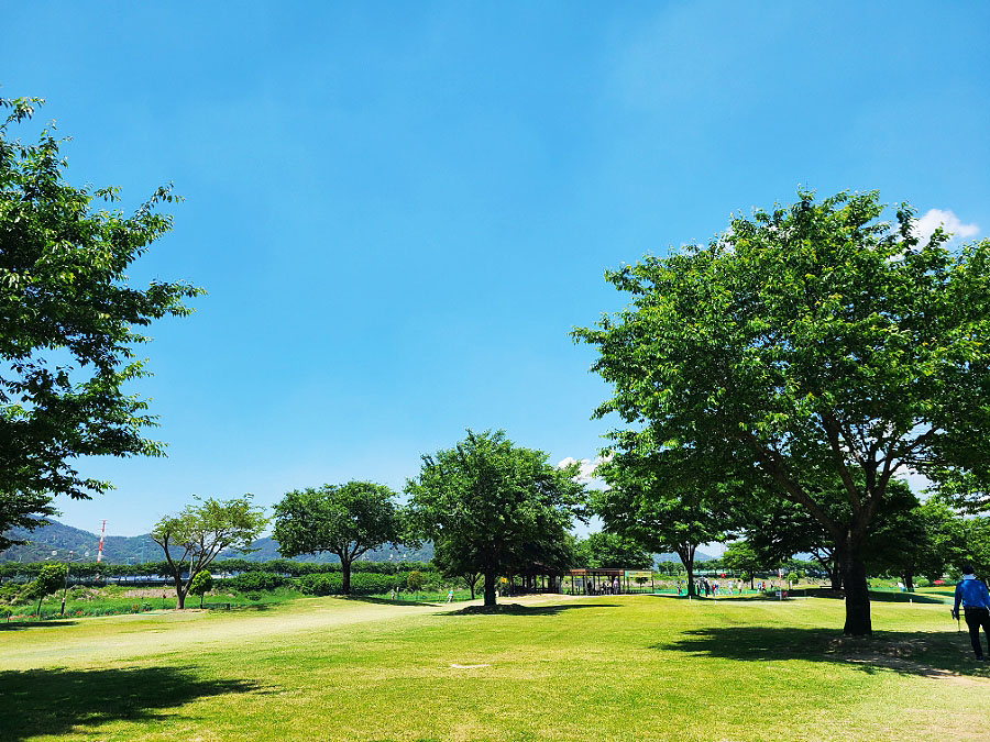 경상남도 밀양시 밀양파크골프장 소개