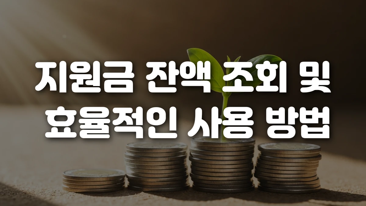 지원금 잔액 조회 및 효율적인 사용 방법