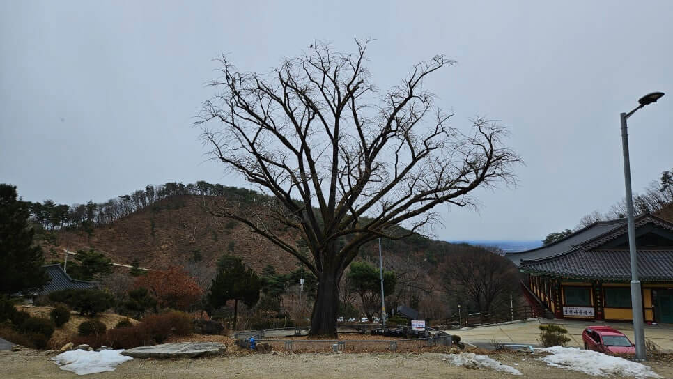 이천 영원사 : 원적산의 기운을 담은 천년 고찰 도심 인근에 숨은 조용한 산사