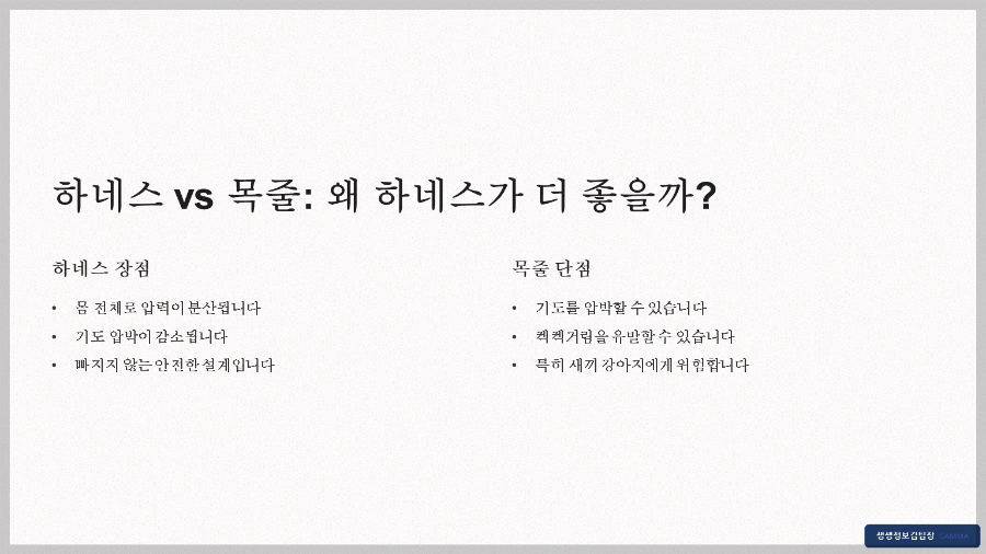 산책 전용 하네스 추천