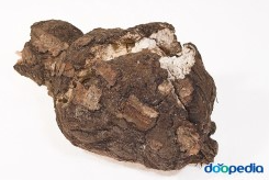 λ³΅λ Ή μ¬μ§