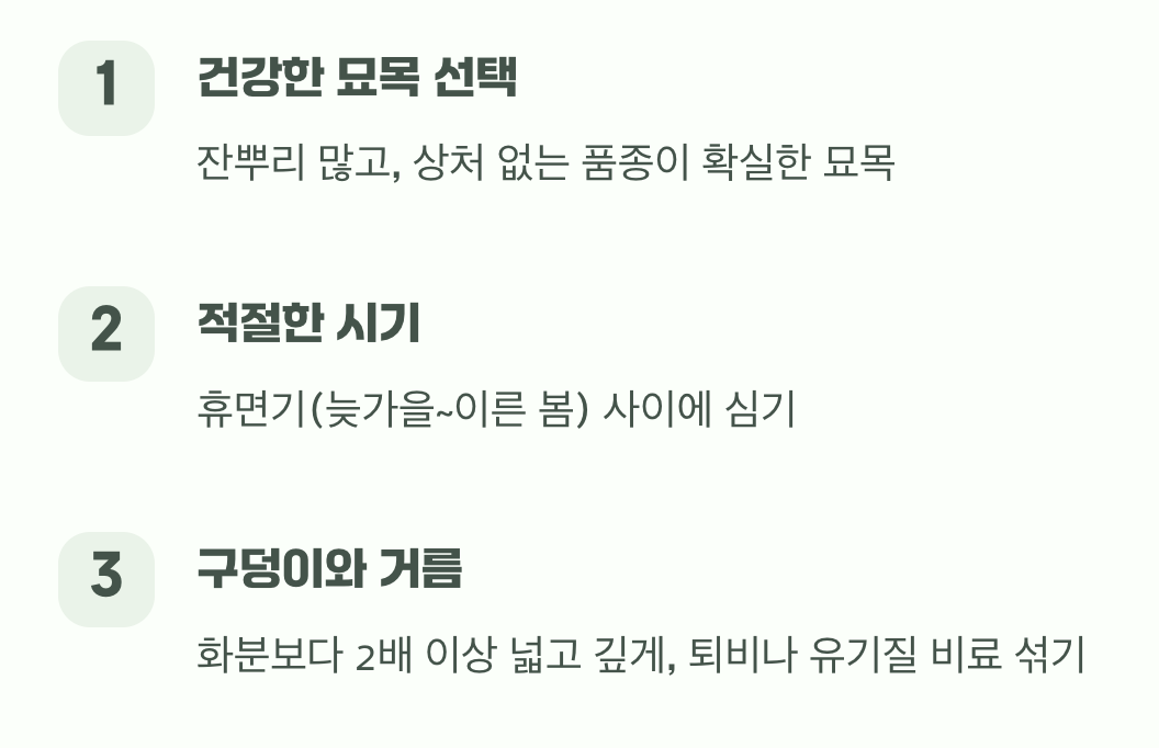 묘목 심기, 첫 단추를 잘 꿰는 법