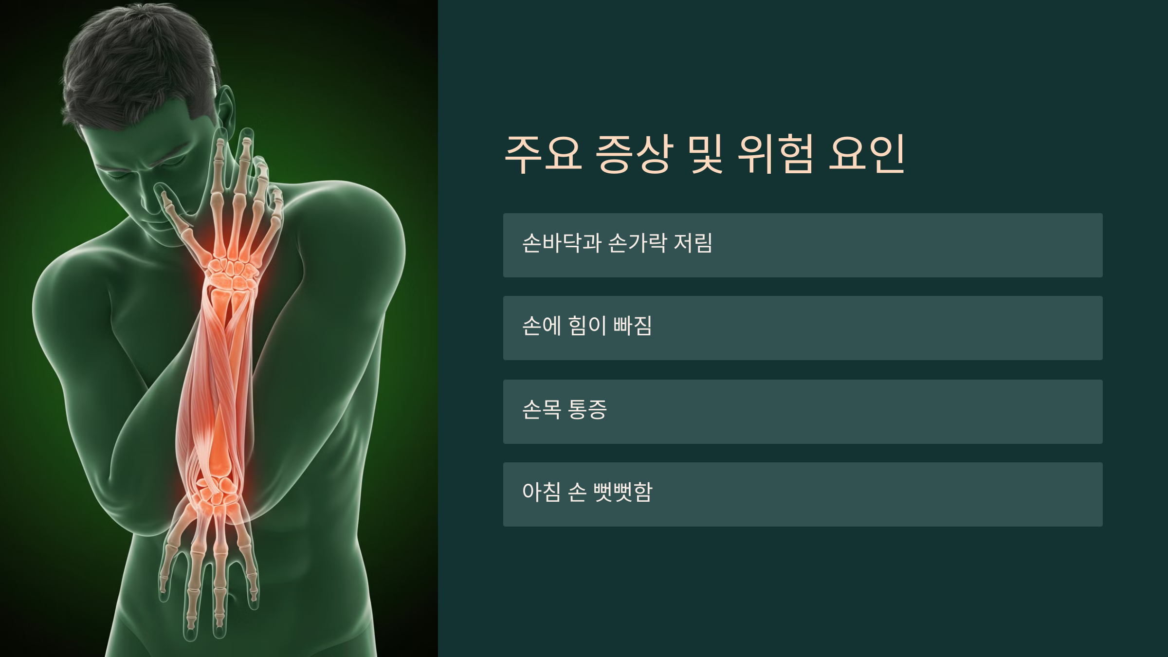 2. 주요 증상 및 위험 요인