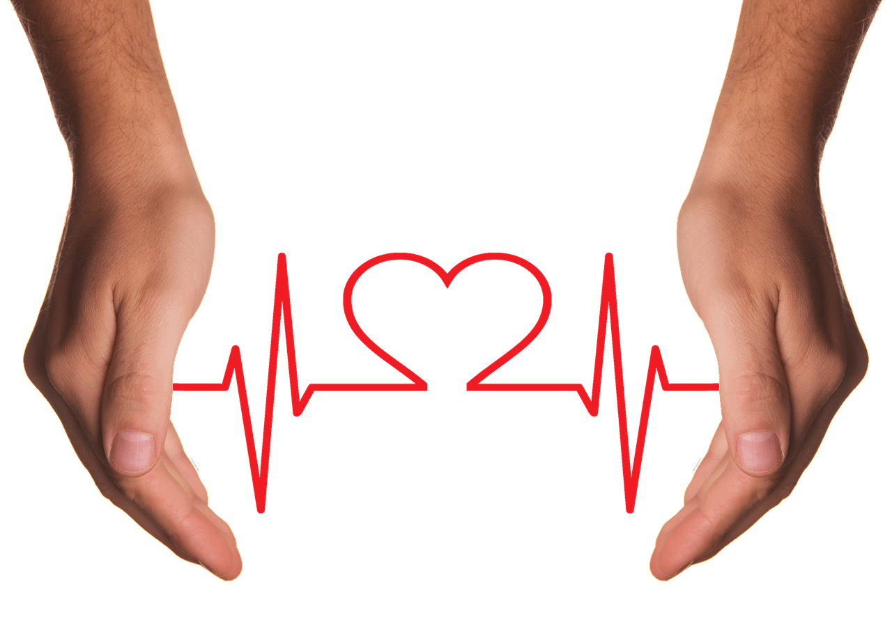 아르기닌 많은 음식, 효능, 흡수 잘되는 법