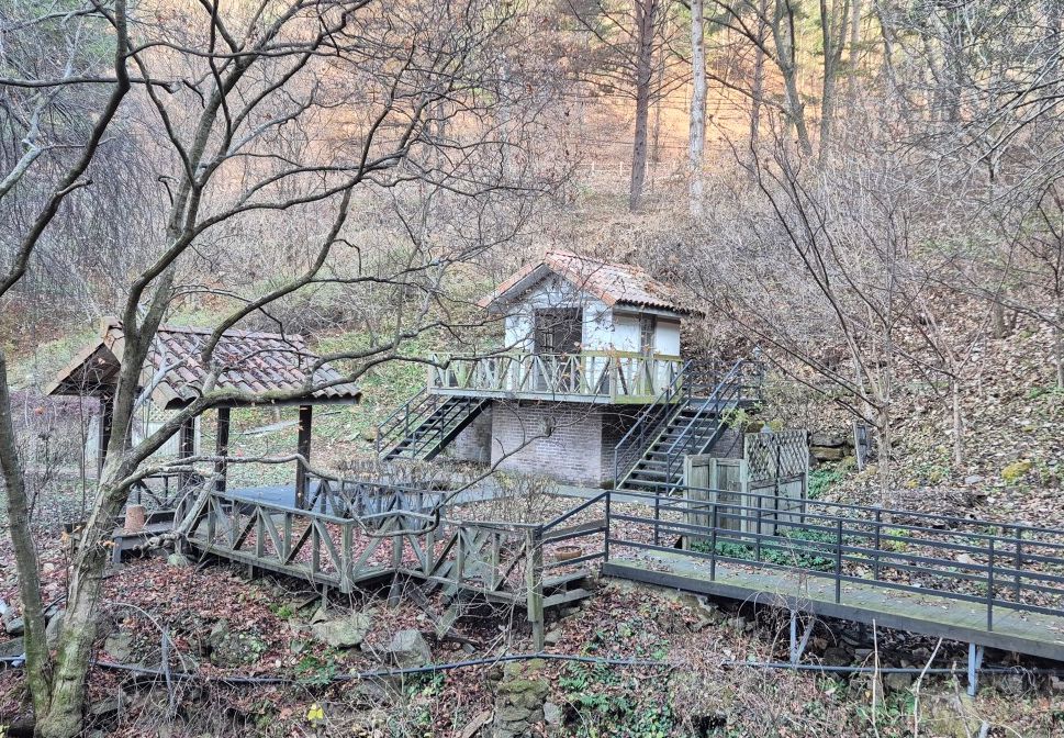 청평자연휴양림