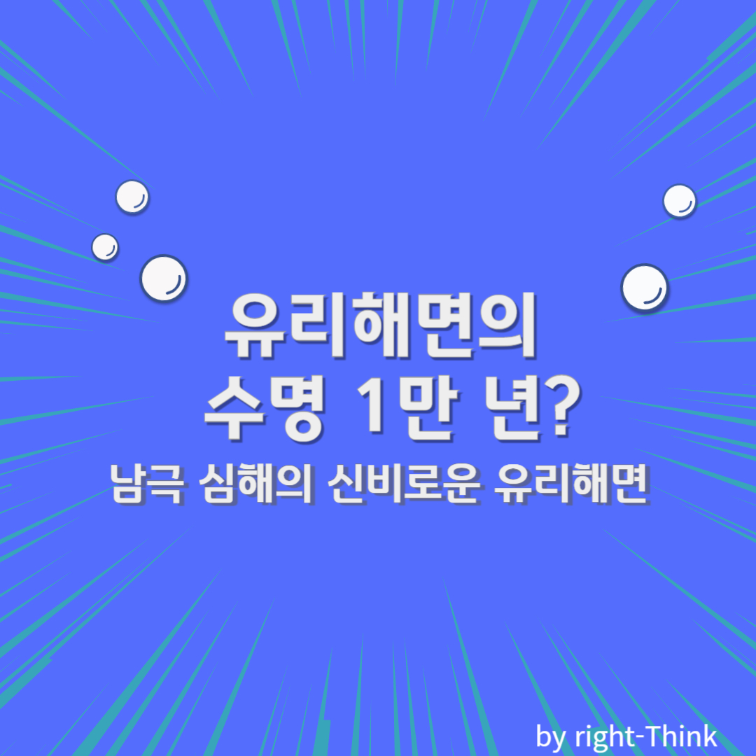 남극 심해의 신비로운 유리해면(Glass Sponge)