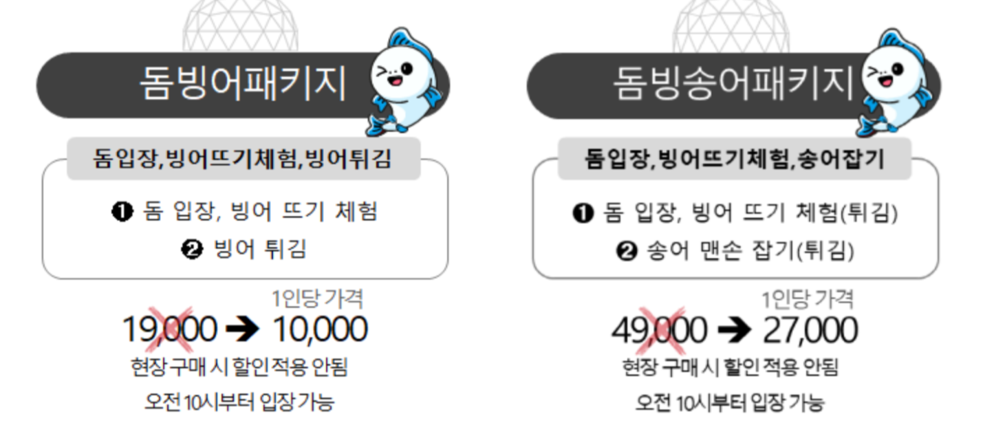 축제패키지-가격정보