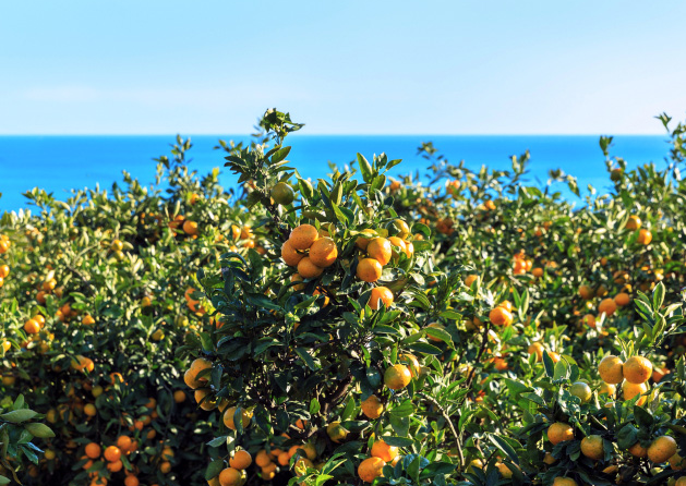 정부 혜택으로 리조트 콘도 이용 신청