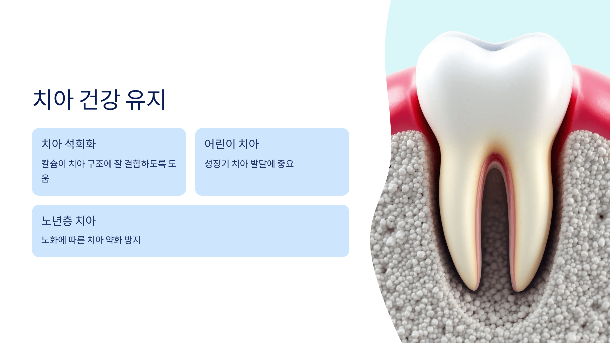 비타민K2 사진입니다.