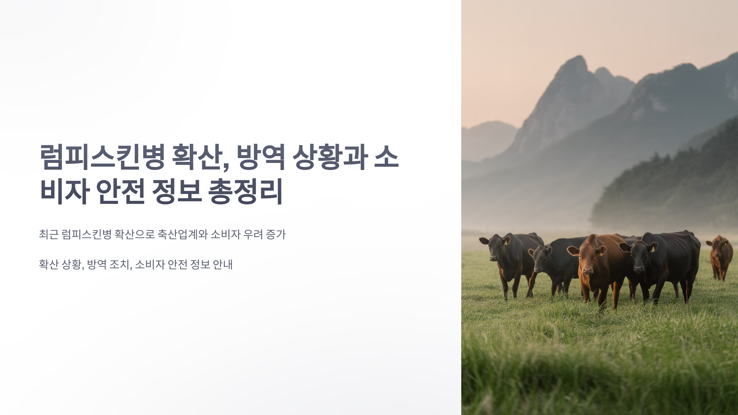 참조-럼피스킨병-확산-1