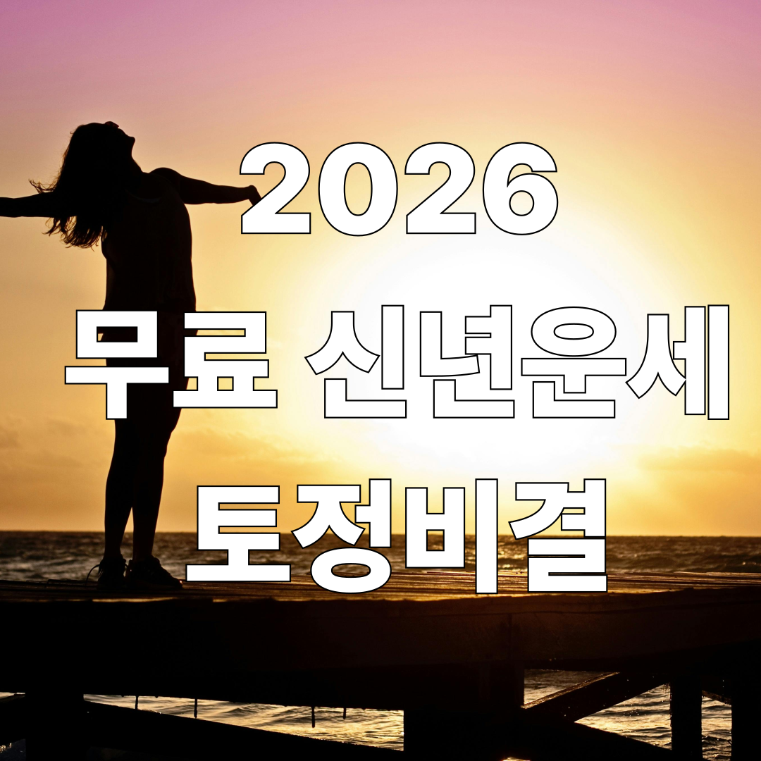 2026 신년운세 무료사이트 총정리