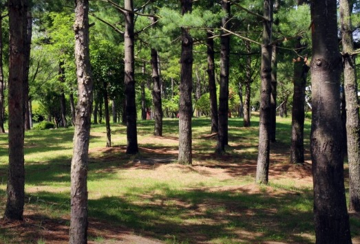 생생정보 믿고 떠나는 스타의 고장 가수 박남정 경남 함안 여행 코스 함안낙화놀이 무진정 식당 탐밀 카페두루고 함주공원