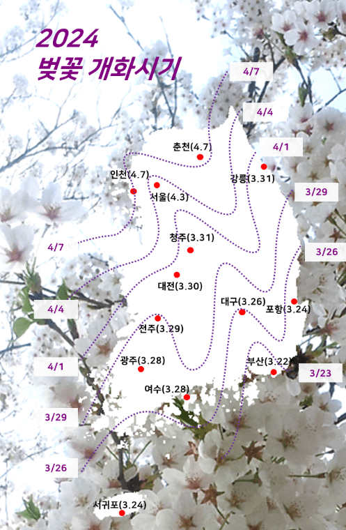 웨더아이-벚꽃개화시기