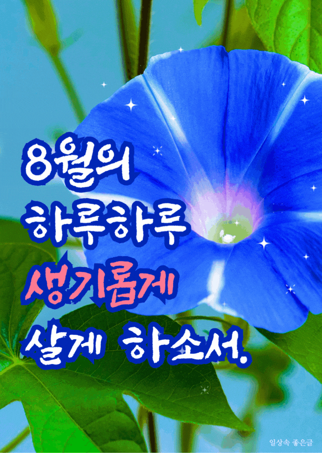 8월 첫주일 대표기도문 모음 대표 기도 이미지