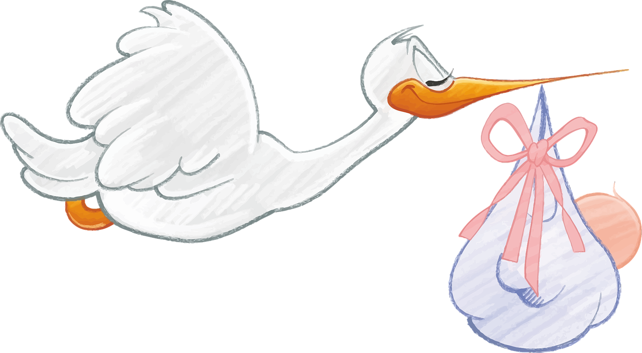 배아 이식 착상률 높이는 방법