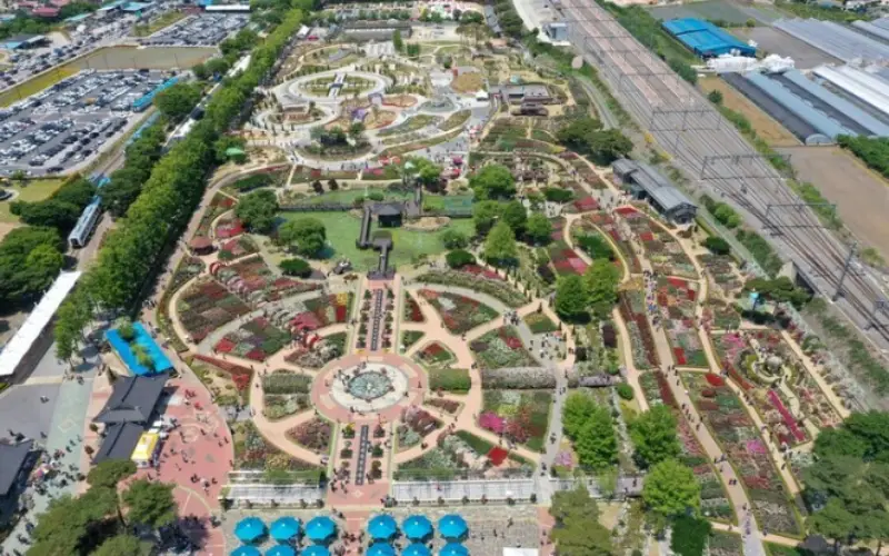 곡성 장미축제_8