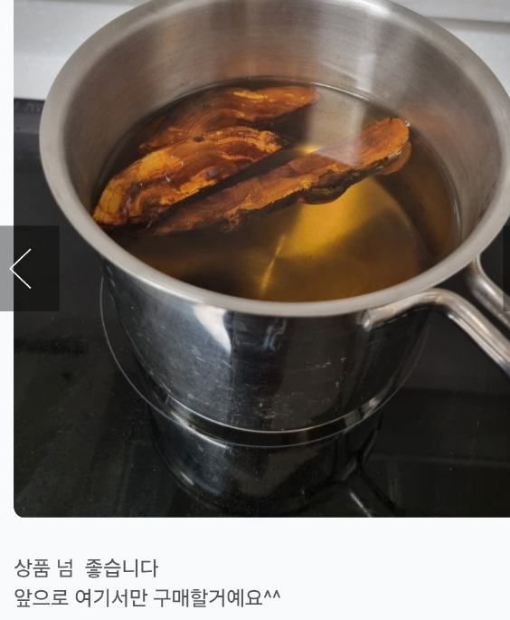 상황버섯물