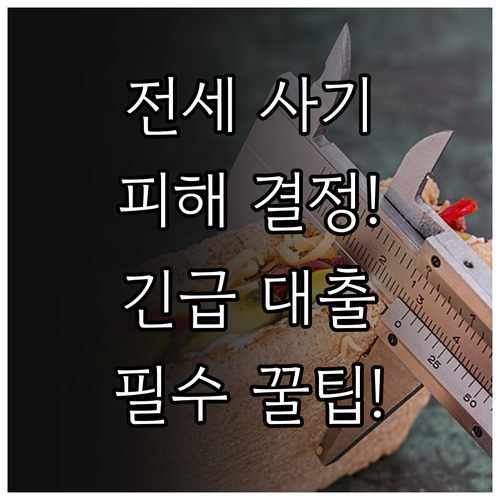 전세사기 피해자 결정 신청 및 긴급대..
