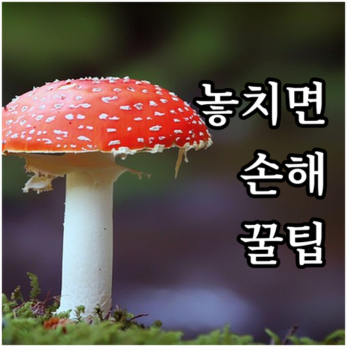 충주시 2025 홀로노인 돌보미: 대..