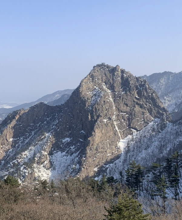 설악산 케이블카 운행시간, 예약, 요금 총정리