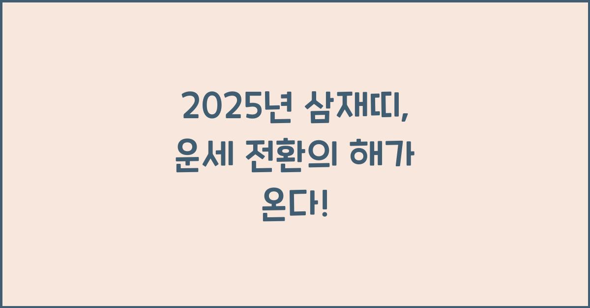 2025년 삼재띠