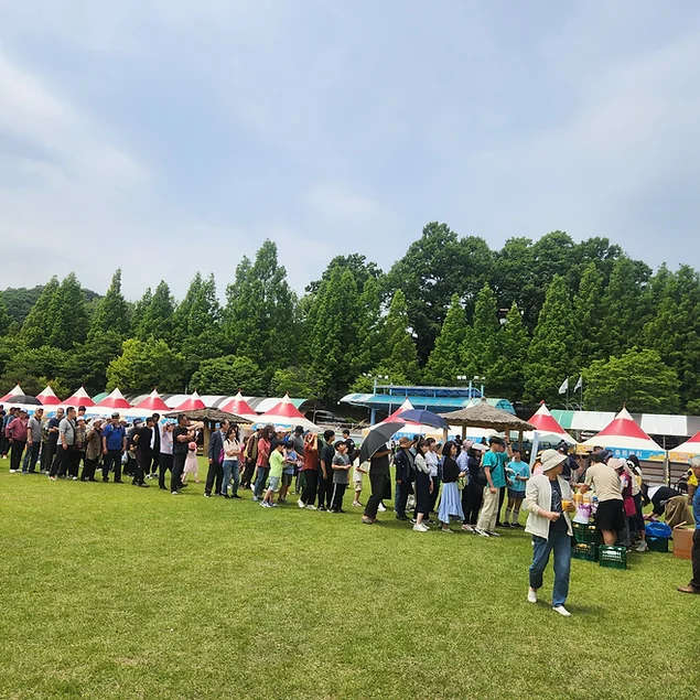 [6월 축제]2025 여주 금사참외축제❘공연 일정, 참여 프로그램 정리