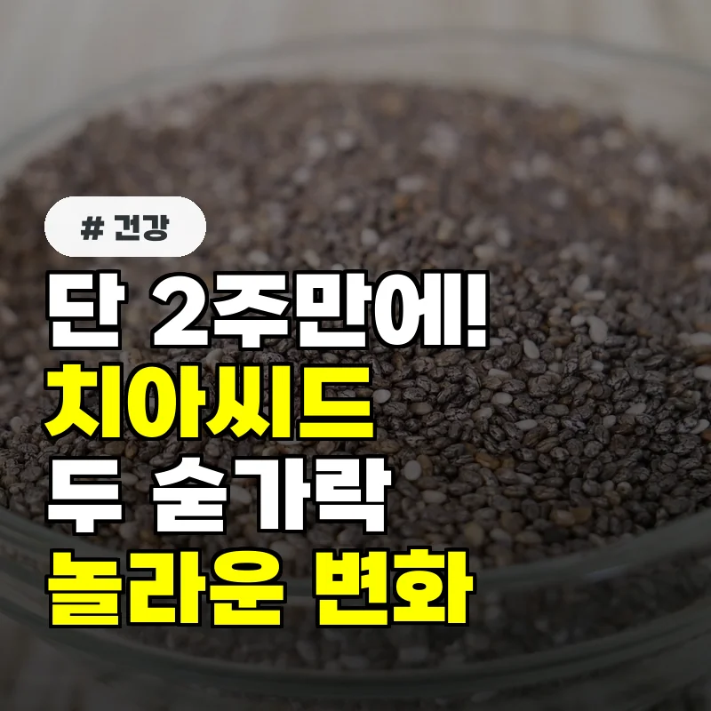 단 2주! 매일 치아씨드 두 숟가락 먹고 겪은 몸의 놀라운 변화 3가지